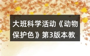 大班科學(xué)活動《動物保護(hù)色》第3版本教案反思