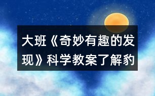 大班《奇妙有趣的發(fā)現(xiàn)》科學教案了解豹紋守宮