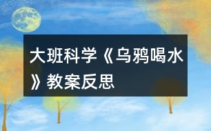 大班科學(xué)《烏鴉喝水》教案反思