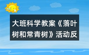 大班科學(xué)教案《落葉樹和常青樹》活動(dòng)反思