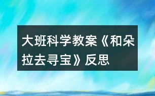 大班科學教案《和朵拉去尋寶》反思