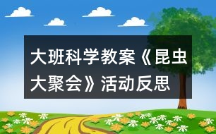 大班科學(xué)教案《昆蟲大聚會(huì)》活動(dòng)反思