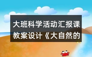 大班科學(xué)活動匯報(bào)課教案設(shè)計(jì)《大自然的聲音》