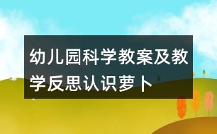 幼兒園科學教案及教學反思認識蘿卜