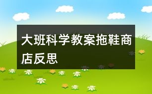 大班科學教案拖鞋商店反思