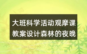 大班科學活動觀摩課教案設(shè)計森林的夜晚