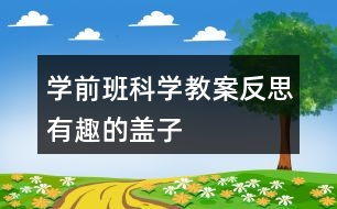 學(xué)前班科學(xué)教案反思有趣的蓋子