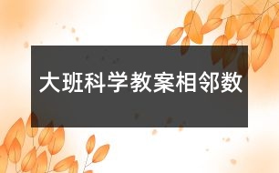 大班科學教案相鄰數(shù)