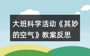 大班科學(xué)活動《其妙的空氣》教案反思