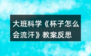 大班科學《杯子怎么會流汗》教案反思