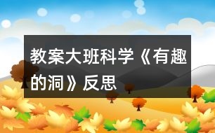 教案大班科學(xué)《有趣的洞》反思