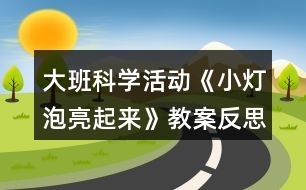 大班科學(xué)活動(dòng)《小燈泡亮起來(lái)》教案反思