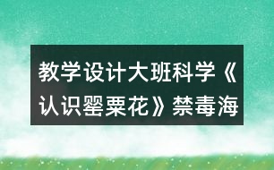 教學(xué)設(shè)計(jì)大班科學(xué)《認(rèn)識(shí)罌粟花》（禁毒海報(bào)）反思