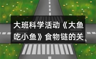 大班科學活動《大魚吃小魚》食物鏈的關系教案反思