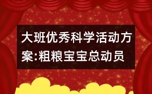 大班優(yōu)秀科學活動方案:粗糧寶寶總動員