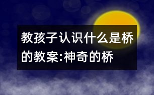 教孩子認(rèn)識什么是橋的教案:神奇的橋