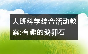 大班科學(xué)綜合活動(dòng)教案:有趣的鵝卵石