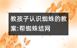 教孩子認識蜘蛛的教案:幫蜘蛛結(jié)網(wǎng)