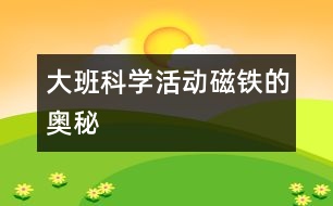 大班科學(xué)活動：磁鐵的奧秘