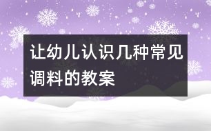 讓幼兒認識幾種常見調(diào)料的教案