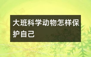 大班科學(xué)：動物怎樣保護自己