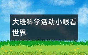 大班科學(xué)活動：小眼看世界