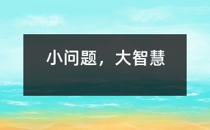 小問題，大智慧