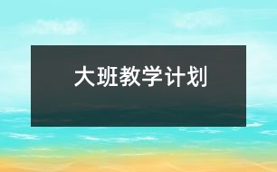 大班教學(xué)計劃