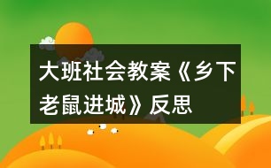 大班社會教案《鄉(xiāng)下老鼠進城》反思