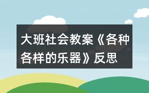 大班社會教案《各種各樣的樂器》反思