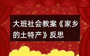 大班社會教案《家鄉(xiāng)的土特產(chǎn)》反思