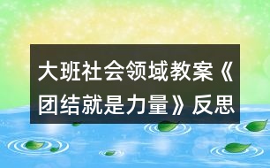 大班社會領(lǐng)域教案《團結(jié)就是力量》反思