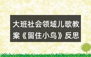 大班社會(huì)領(lǐng)域兒歌教案《留住小鳥》反思