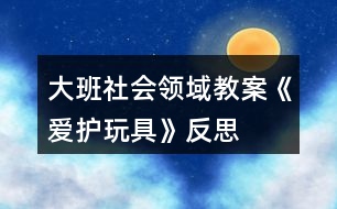 大班社會(huì)領(lǐng)域教案《愛(ài)護(hù)玩具》反思