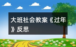 大班社會教案《過年》反思