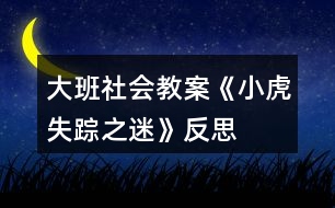 大班社會(huì)教案《小虎失蹤之迷》反思