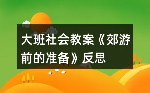 大班社會教案《郊游前的準備》反思