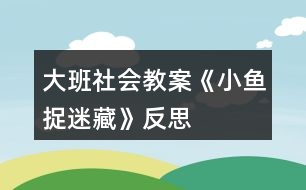 大班社會(huì)教案《小魚捉迷藏》反思