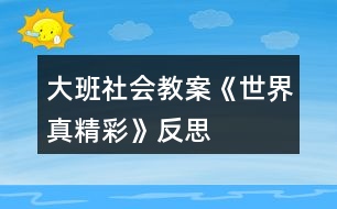 大班社會教案《世界真精彩》反思