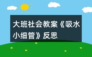 大班社會(huì)教案《吸水小細(xì)管》反思