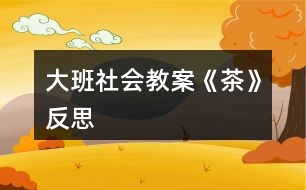 大班社會教案《茶》反思