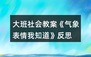 大班社會教案《氣象表情我知道》反思