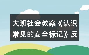 大班社會(huì)教案《認(rèn)識(shí)常見的安全標(biāo)記》反思