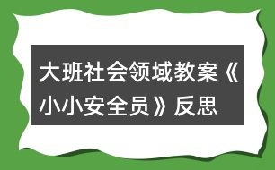 大班社會領域教案《小小安全員》反思