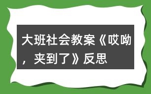 大班社會(huì)教案《哎呦，夾到了》反思