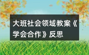 大班社會領(lǐng)域教案《學(xué)會合作》反思