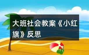 大班社會(huì)教案《小紅旗》反思