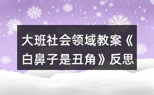 大班社會(huì)領(lǐng)域教案《白鼻子是丑角》反思