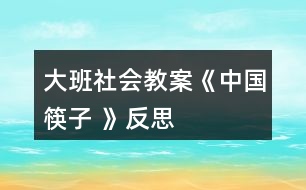 大班社會教案《中國筷子 》反思