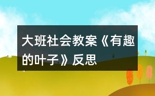 大班社會(huì)教案《有趣的葉子》反思